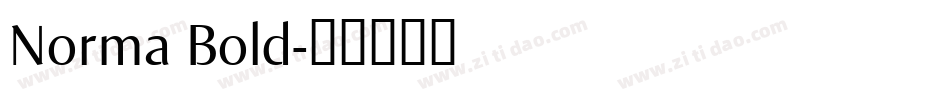 Norma Bold字体转换